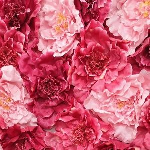 Meet your Posher, Rhenykae